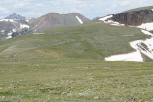 Read more about the article Trail Ridge Road