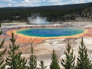 Read more about the article Yellowstone